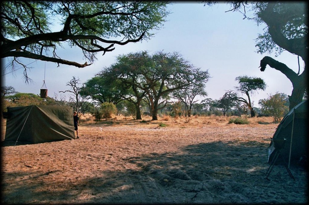 There's an elephant in the distance between the two trees.   To the left, the enclosure for the bucket shower (there is a spigot underneath).  To the right is our tent.
