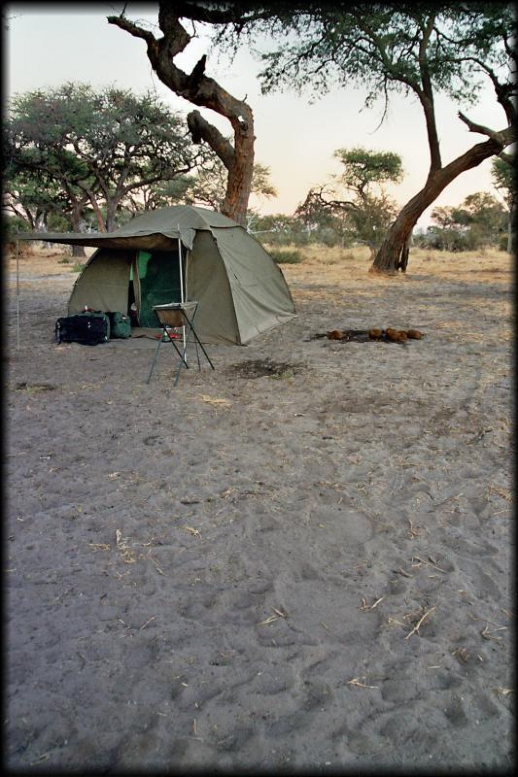 The night before we left the Khwai area, some elephants came to visit us in the middle of the night.  They woke us up as they shook the acacia tree we were camping under.  In the foreground, you can see the footprints of the elephant.  To the right of our tent, you see the deposit the elephant made during the night.