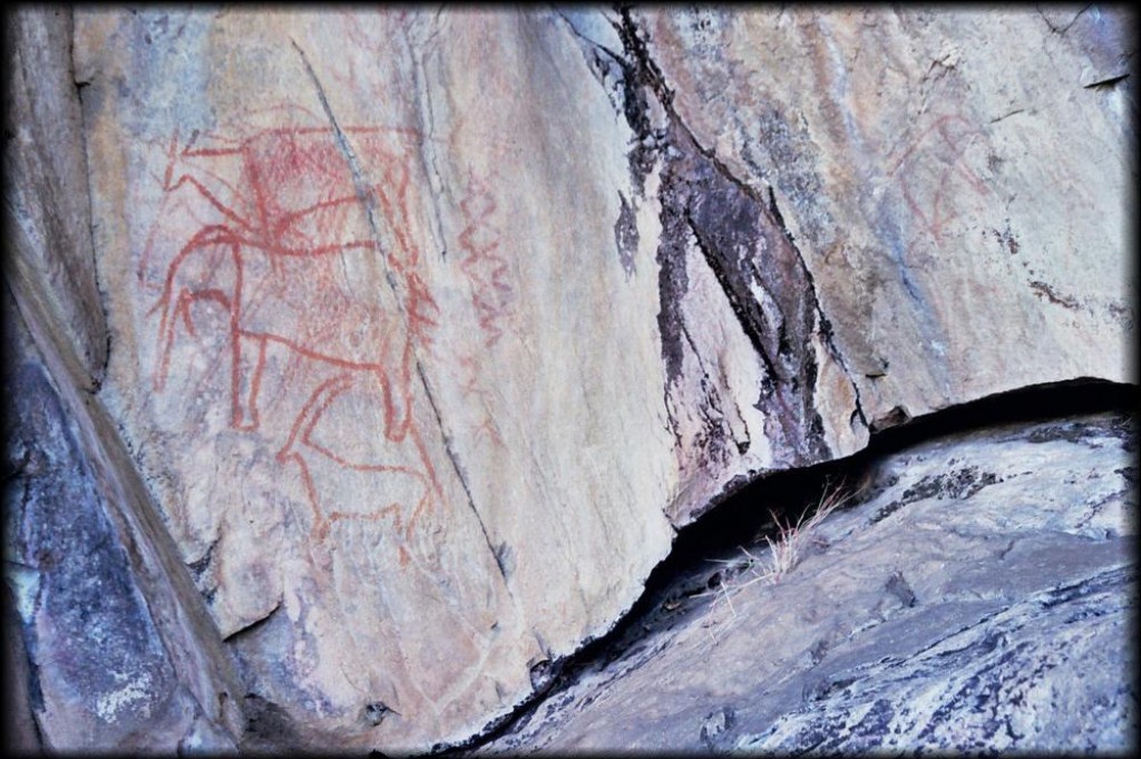 These rock carvings are inside the reserve.