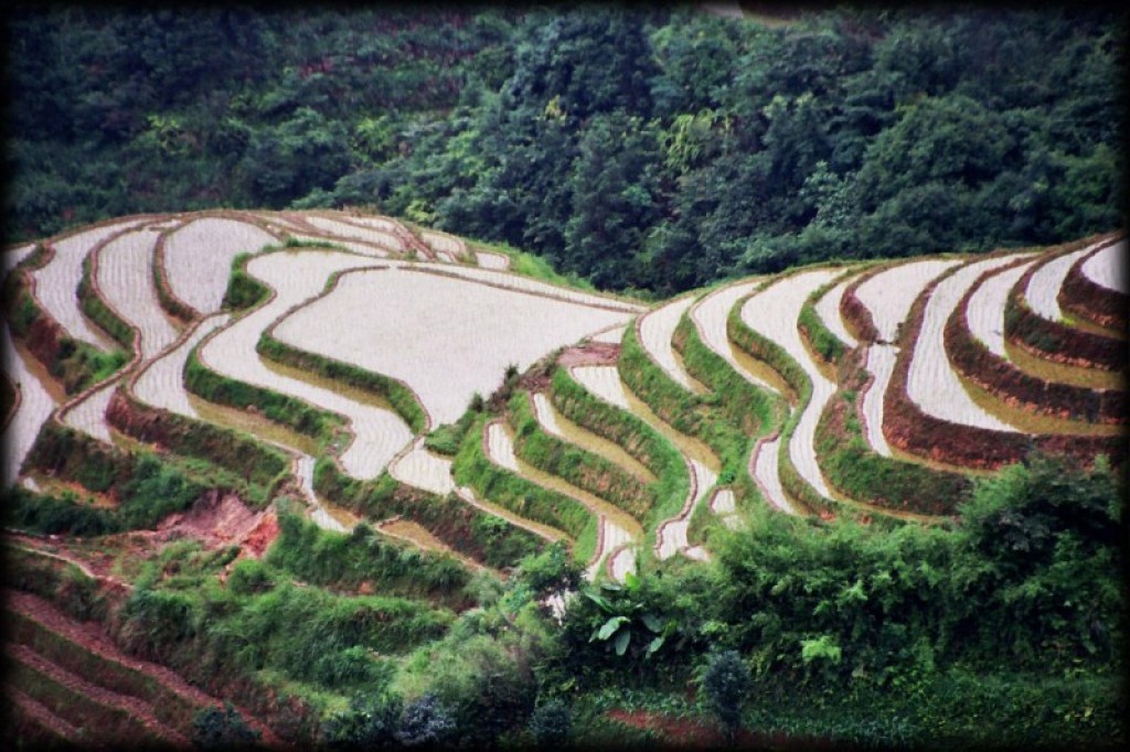 Longshen, or Dragon's Spine Terraces, is known for terraced rice paddies that stretch as far as the eye can see.  It was a highlight of our visit to China. 