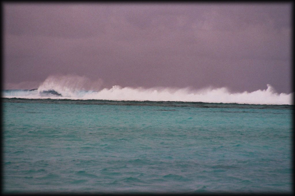 Waves crashing on the reef just outside Honeymoon Island.