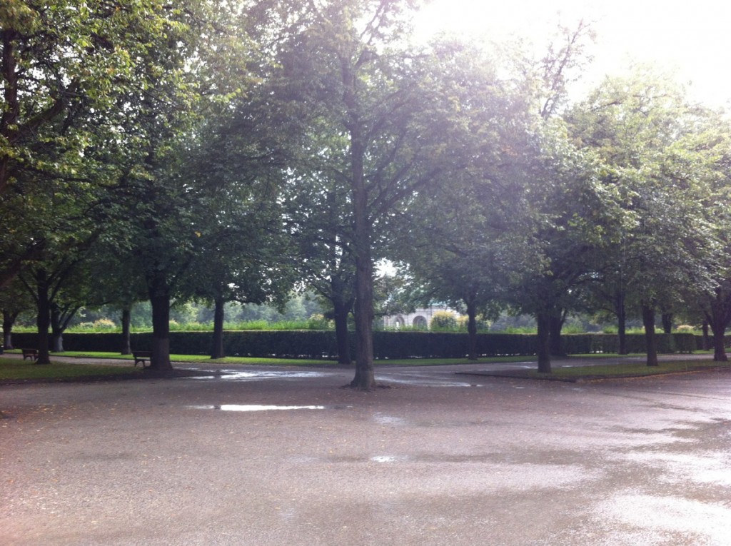 The rainy Hofgarten