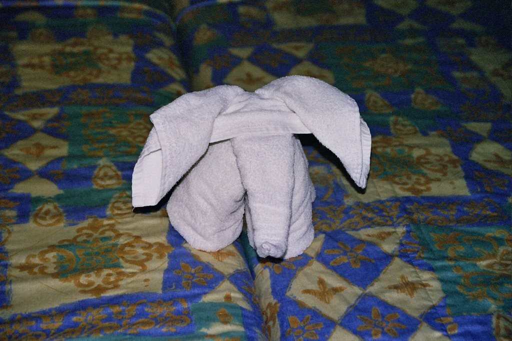 More Towel Art - an elephant.