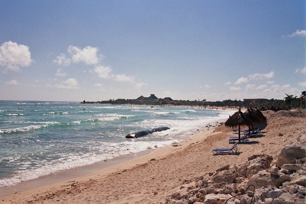 Looking south on the beach towards Bahia Principe Akumal.