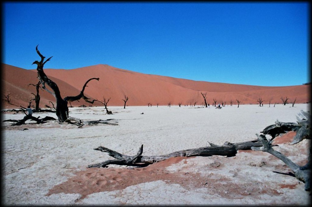 We went for a 5 km hike through the Sossuvlei dunes to Deadvlei.  It was not an easy hike as the sand was very soft. 
