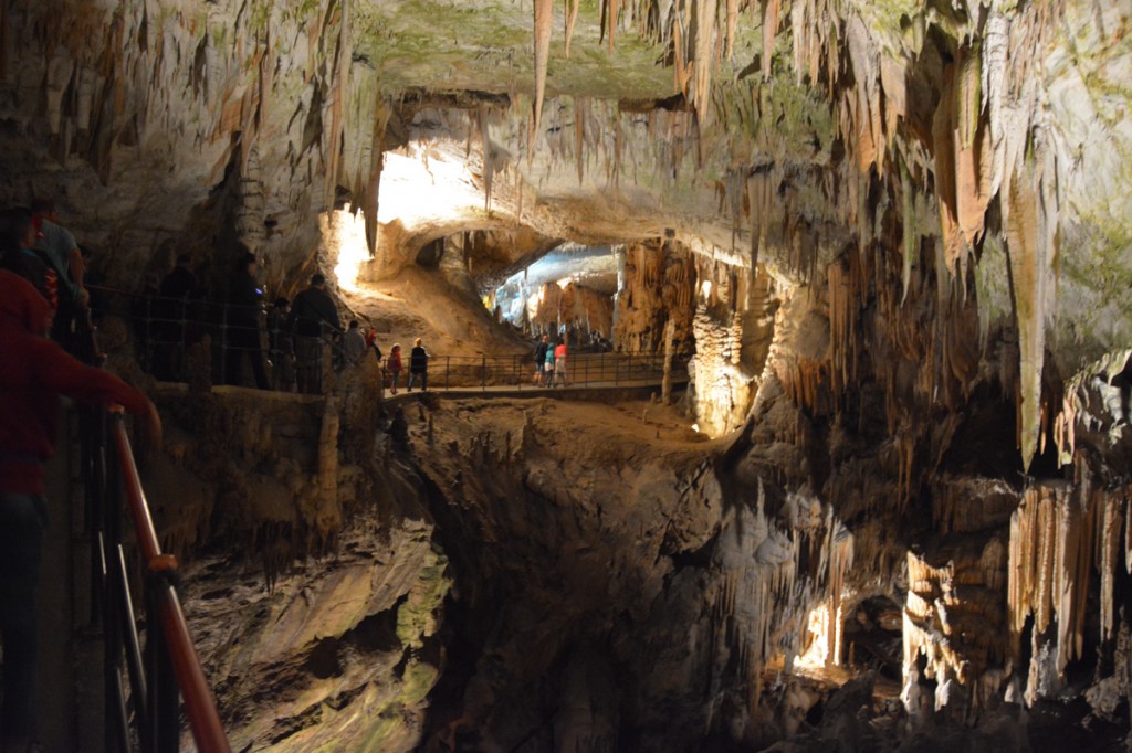 The most beautiful caves in the world we've seen are just an hour outside of Ljubljana.  The size of the Skocjan caves are unbelievable, and the variety and depth of the formations on display at Postojna are amazing.