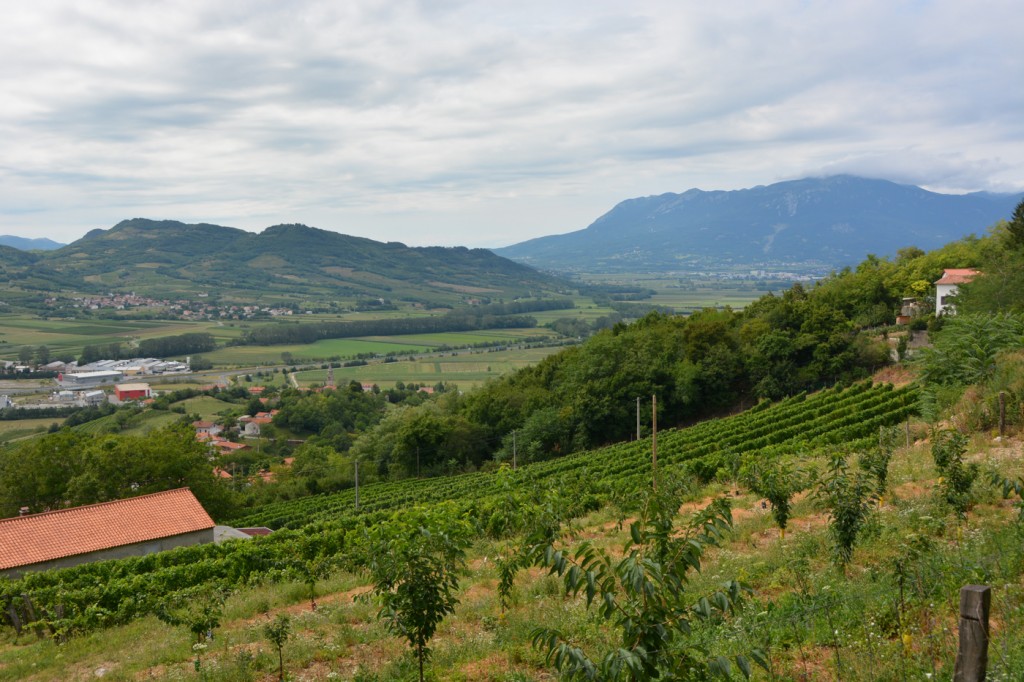 We spent a couple of hours touring the Vipava Valley and doing a little but of wine tasting. 