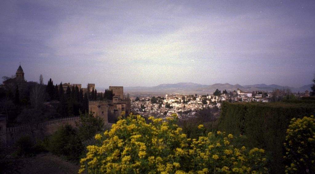 The Alhambra was the palace and fortress of the Moorish monarchs of Granada. 
