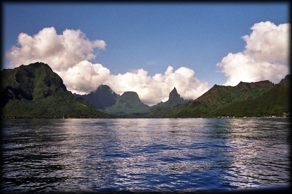 Wow.  Cook's Bay Moorea as seen from the water.  If nothing else, going out on a dolphin boat will buy you beautiful views.