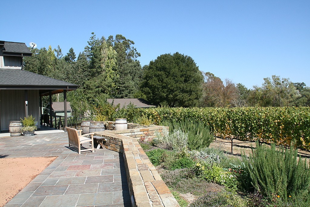 Lynmar Estate overlook the vineyard
