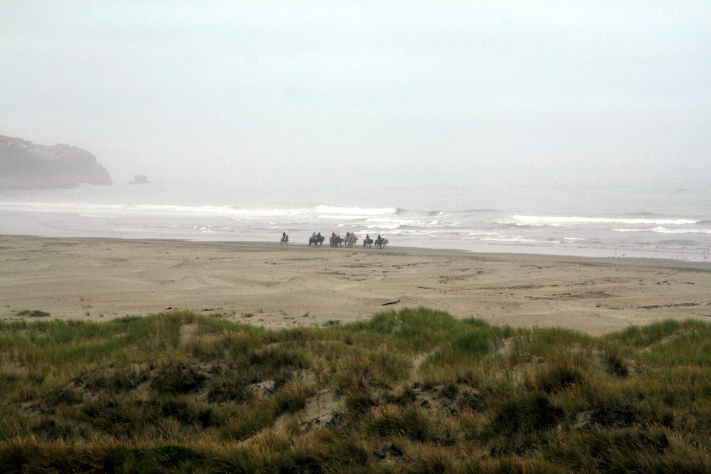 Horseriding by Bandon by the Sea