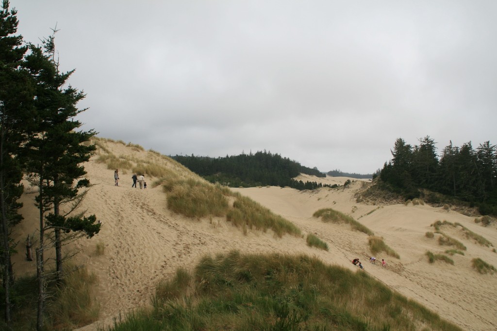 Orelogn Dunes Overlook