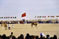 International Festival of the Sahara