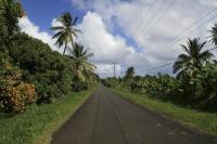 The only straight road in Dominica