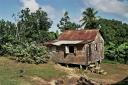 Houses on stilts in the Carib Territory