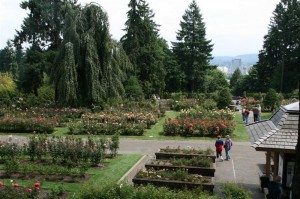 View over the International Rose Test Garden