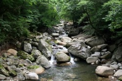 Stream along the hike up to Haeinsa temple.