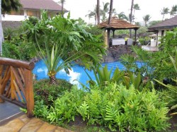 Beautiful pool at the Sheraton Maui