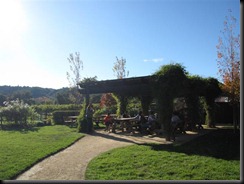 Enjoying the shady picnic tables at Dutcher Crossing Winery and Tasting Room 