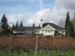 Beautiful Duckhorn Vineyard, Napa Valley, California