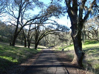 Paved trails lead through the oaks at Sonoma Valley Regional Park, near Glen Ellen.