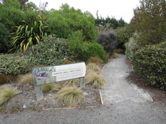 The entrance to the wetland next to the cellar door/tasting room at Grove Mill, a Marlborough winery.