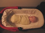 Asleep in the UPPAbaby Vista bassinet.