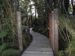 The path to our private pool at Glacier Hot Pools, Franz Josef.