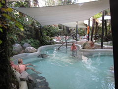 The main public pools at Glacier Hot Pools, Franz Josef, are nestled into a wooded area and shaded with large tarpaulins.