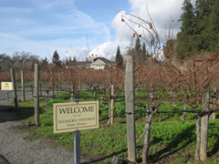 Winetasting at Duckhorn Vineyards Estate Winery