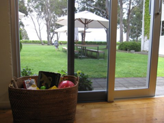 A basket of toys keeps kids busy while the adults taste the delightful wine at Cloudy Bay Vineyards, Marlborough.