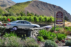 A cornucopia of choice - Gibbston Winery offers wine tasting, a cheesery with samples, a restaurant and wine cave tours in the heart of New Zealand's Central Otago wine region.