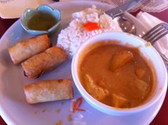 Pumpkin Curry and Vegetarian Eggrolls disappoint at Thai Cuisine restaurant.  (There was a fourth egg roll included in the serving).