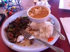 Eggplant and Beef and Pumpkin Curry with Chicken were a let down at Thai Cuisine Restaurant.