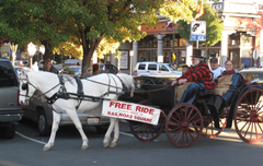 Holiday travel with kids in Wine Country?  Take a free carriage ride in Railroad Square, Santa Rosa!