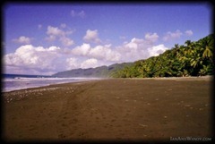 Delightfully undeveloped, this remote beach seemed to stretch on forever.  We hiked along it for a couple of kilometers before heading inland to explore the forest.  