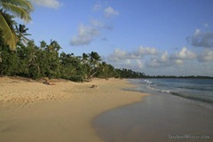 The beautiful beach at Les Salines - a perfect place to enjoy the French meets West Indies vibe of Martinique.