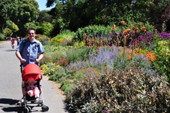 Enjoying the Botanic Gardens in Christchurch, New Zealand from the comfort of the UppaBaby G-Lite umbrella stroller.