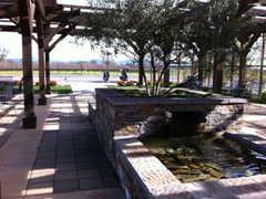 The lovely, tranquil patio at Balletto Winery is centered on an olive tree growing in a large water feature.