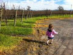 Going for a run amongst the grape vines at Balletto Winery.  Traveling with kids?  Don't rule out wine tasting for family travel!