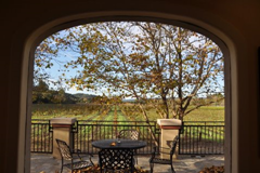 Looking out from Michel-Bernard's Dry Creek Valley's tasting room onto the terrace and the vineyards beyond.