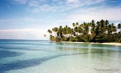 Sparkling turquoise water, white sand and swaying palm trees - a typical Puerto Rico beach!