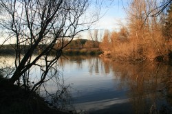 Spring Lake, Santa Rosa