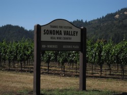 Sonoma County - real Wine Country