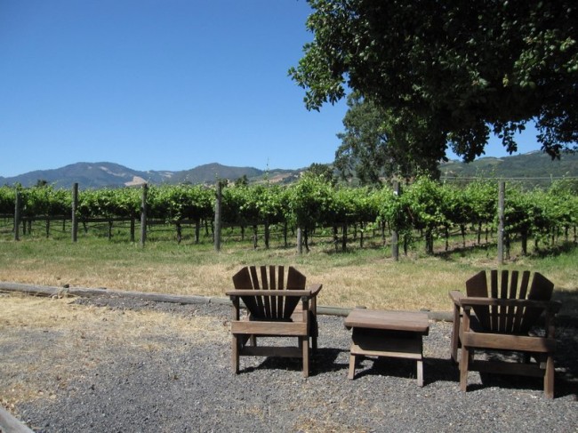 Sit back and relax with beautiful views of the vineyards and mountains.