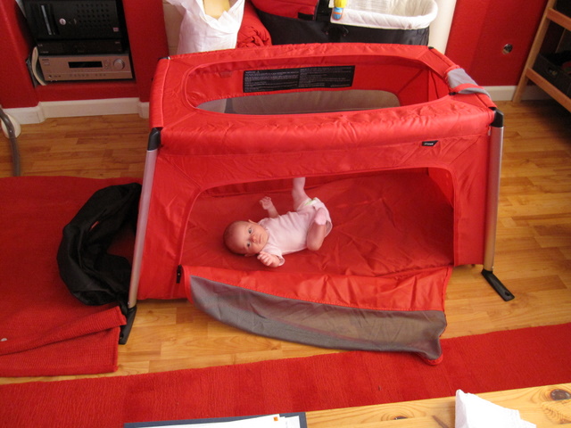 phil and teds travel crib