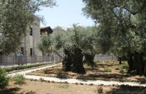 Church of all Nations, Mount of Olives, Israel