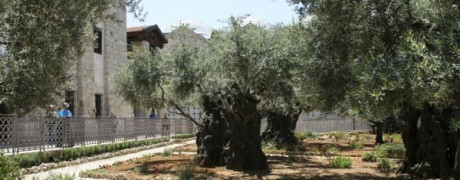 Church of all Nations, Mount of Olives, Israel