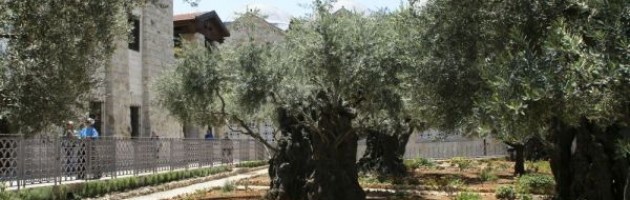 Church of all Nations, Mount of Olives, Israel